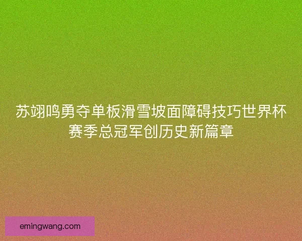 苏翊鸣勇夺单板滑雪坡面障碍技巧世界杯赛季总冠军创历史新篇章