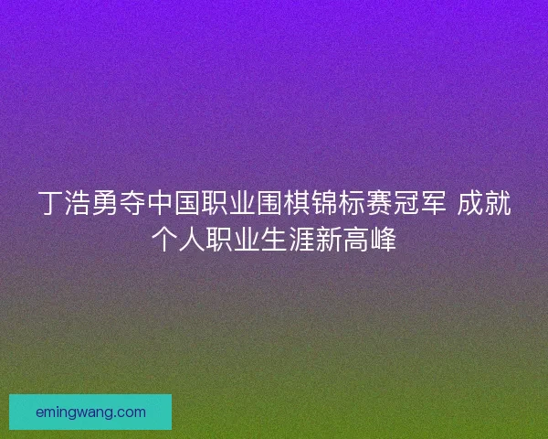 丁浩勇夺中国职业围棋锦标赛冠军 成就个人职业生涯新高峰
