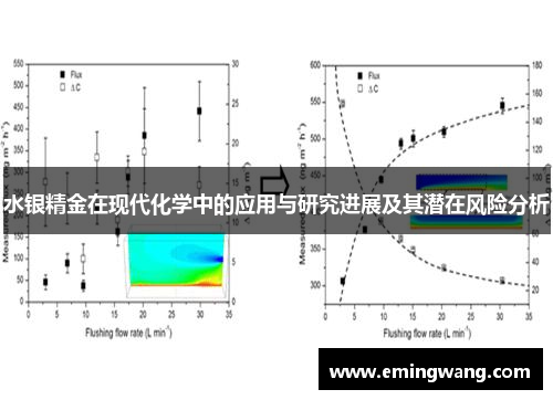 水银精金在现代化学中的应用与研究进展及其潜在风险分析