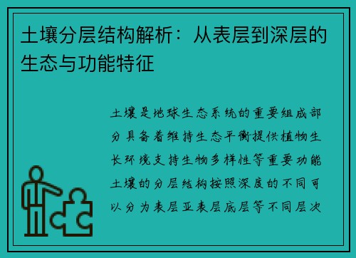 土壤分层结构解析：从表层到深层的生态与功能特征